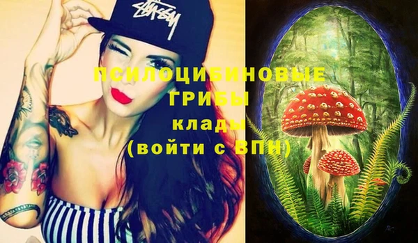 гашик Баксан