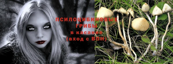 прущие крисы Балахна