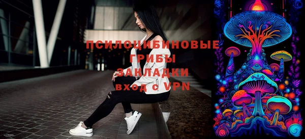 гашик Баксан